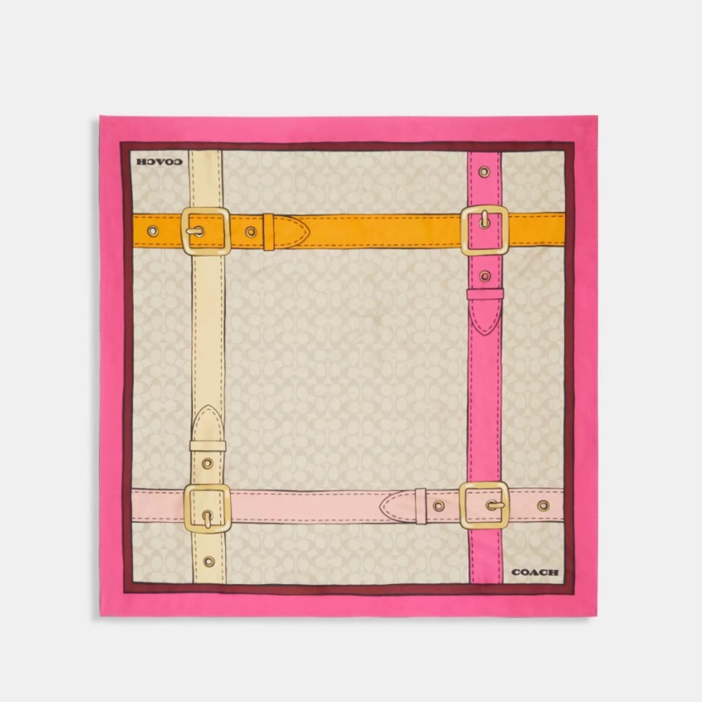 Coach Signature Trompe L’oeil Print Silk Scarf